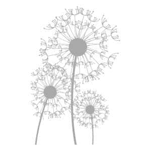 dandelion extract