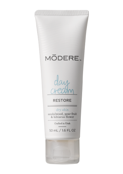 Day Cream Dry Skin - Дневной Крем для Сухой Кожи