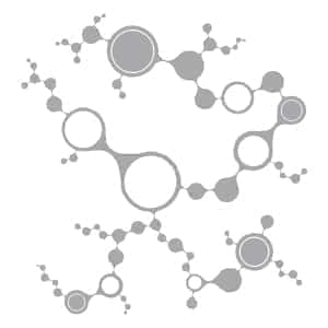 ProjectA Iconography 03