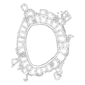 ProjectA Iconography 05